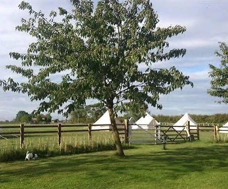 Skipbridge Farm Shepherds Huts Campground Green Hammerton Bagian luar foto