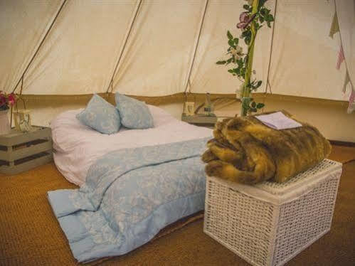Skipbridge Farm Shepherds Huts Campground Green Hammerton Bagian luar foto