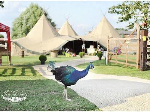 Skipbridge Farm Shepherds Huts Campground Green Hammerton Bagian luar foto