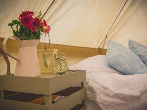 Skipbridge Farm Shepherds Huts Campground Green Hammerton Bagian luar foto
