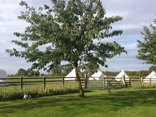 Skipbridge Farm Shepherds Huts Campground Green Hammerton Bagian luar foto